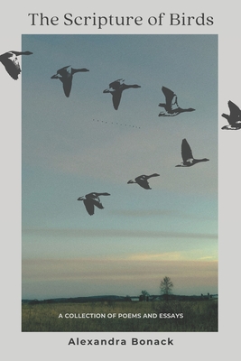The Scripture of Birds: A collection of poems and essays about trauma and healing
