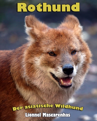 Rothund: Der asiatische Wildhund