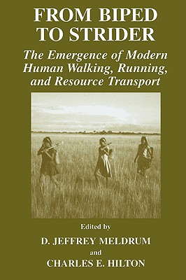 From Biped to Strider : The Emergence of Modern Human Walking, Running, and Resource Transport