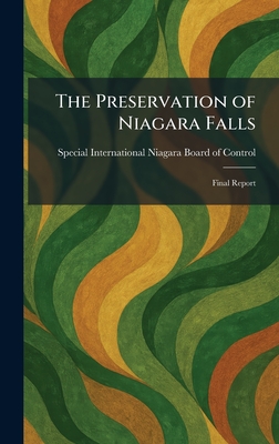 The Preservation of Niagara Falls: Final Report