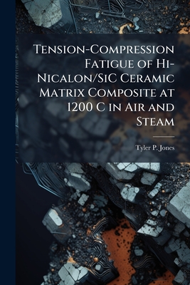 Tension-Compression Fatigue of Hi-Nicalon/SiC Ceramic Matrix Composite at 1200 C in Air and Steam