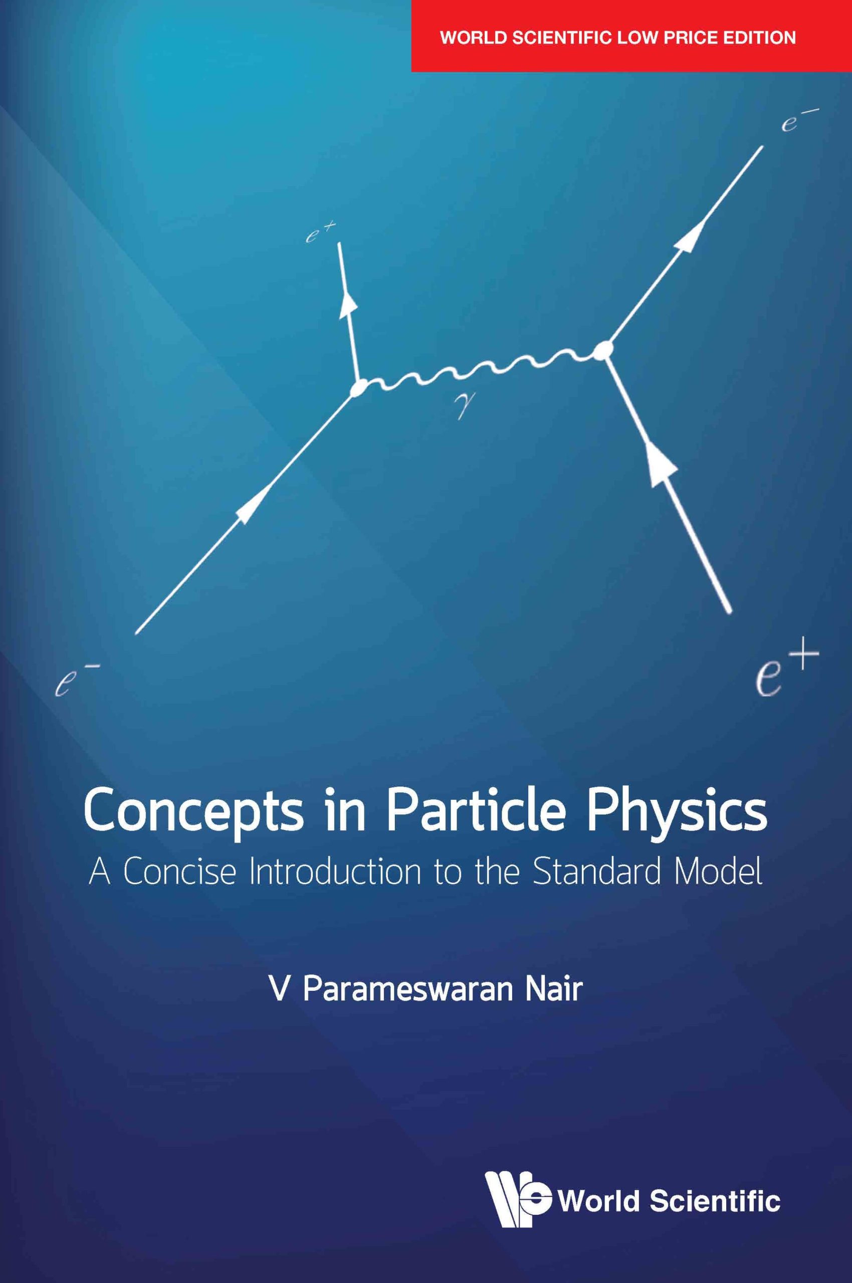 Concepts In Particle Physics: A Concise Introduction To The Standard Model