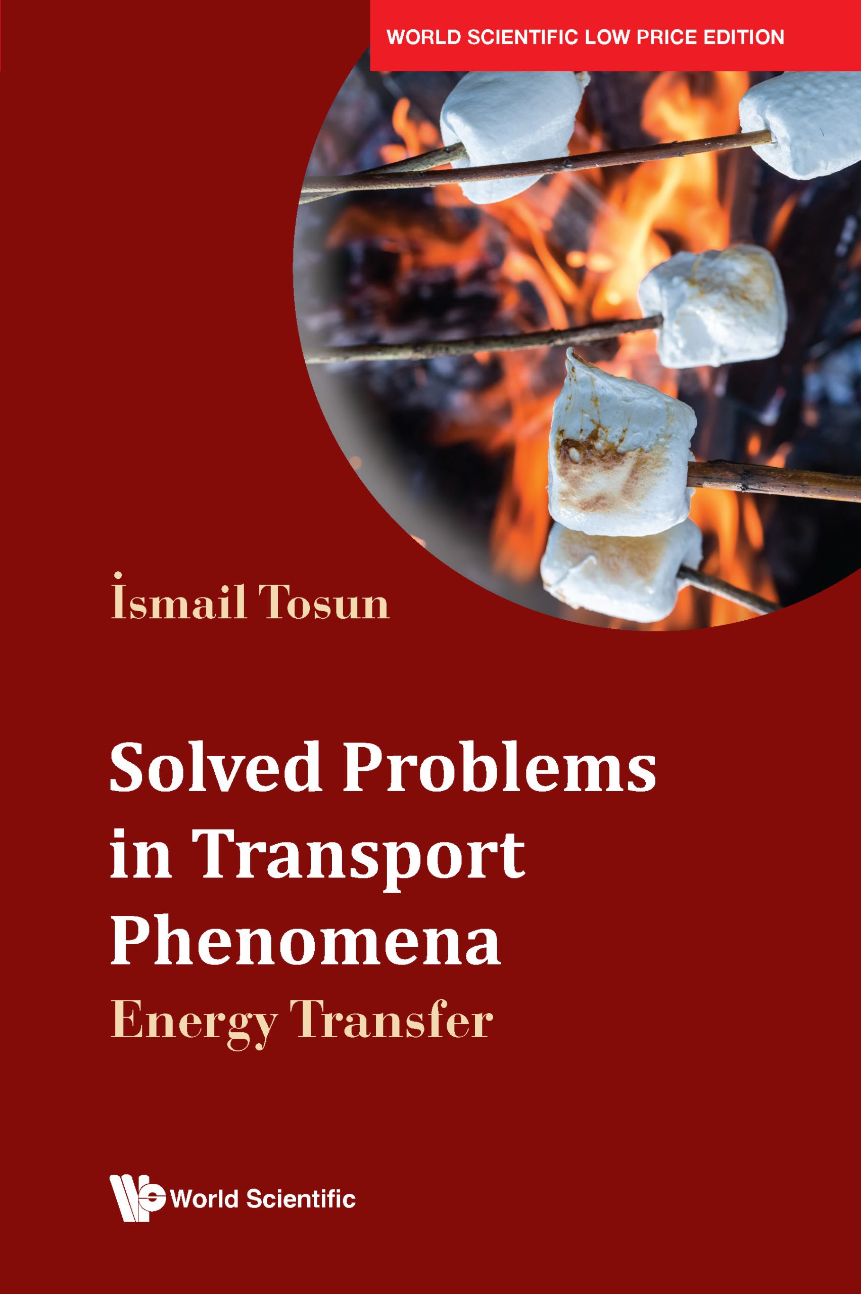 Solved Problems In Transport Phenomena: Energy Transfer