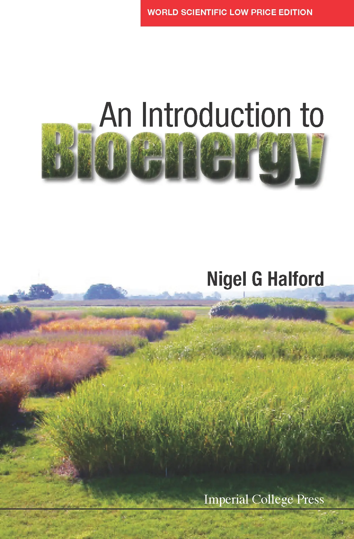 Introduction To Bioenergy, An