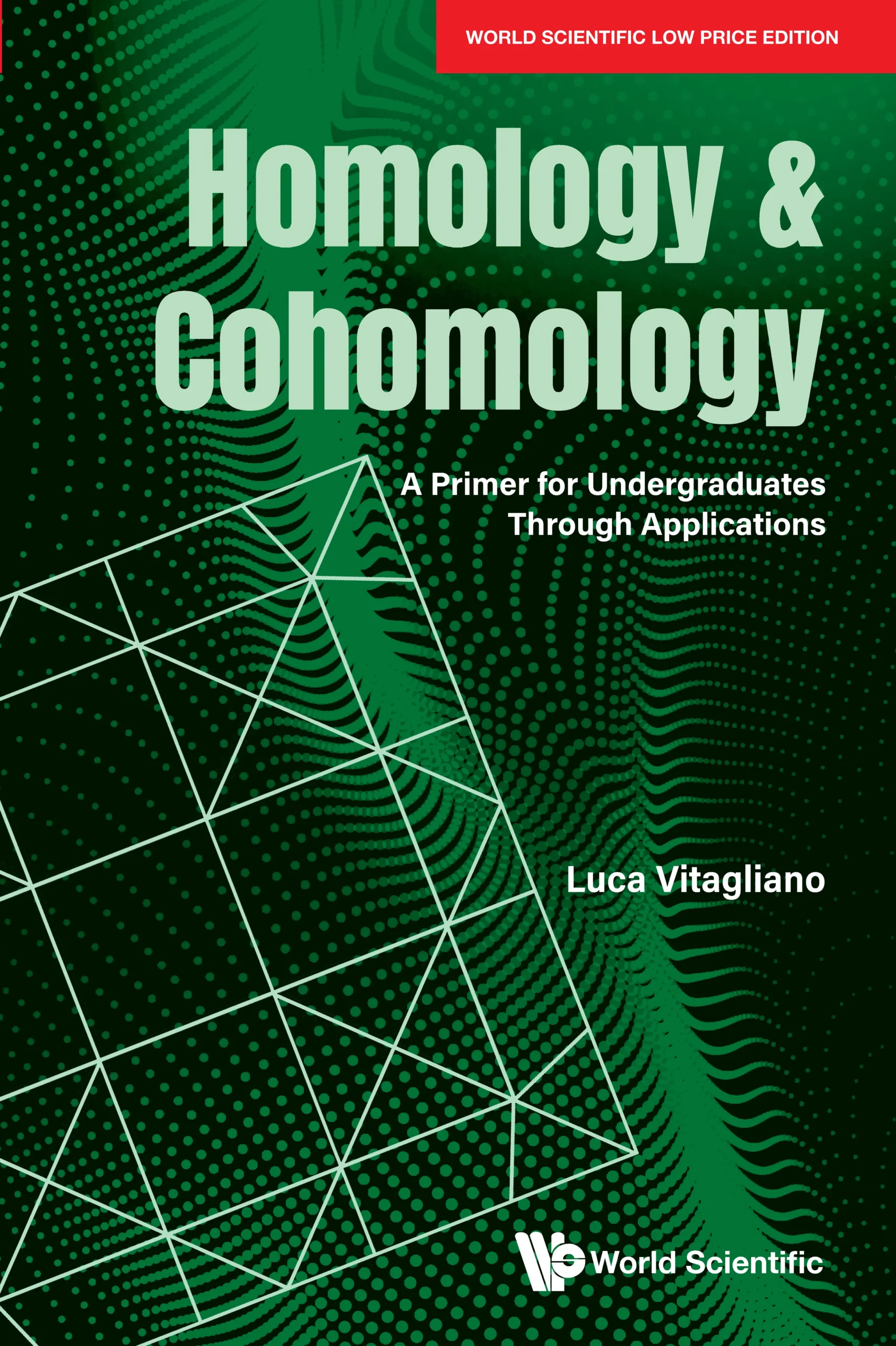 Homology And Cohomology: A Primer For Undergraduates Through Applications